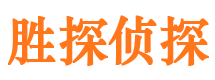 渭城市私家侦探